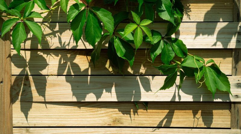 Zo kies je de juiste tuinomheining voor jouw woning